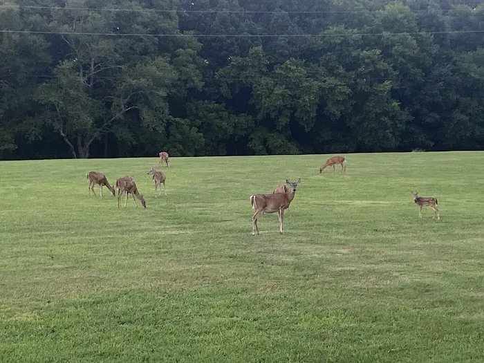 Boxwell Reservation Picture 1