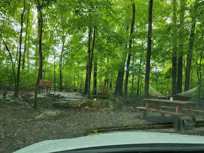 Twig City Farm Picture 8