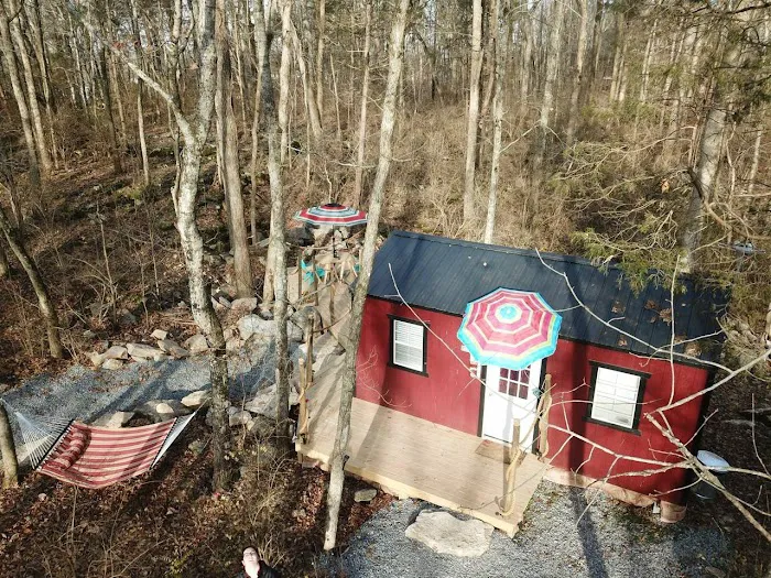Twig City Farm Picture 9