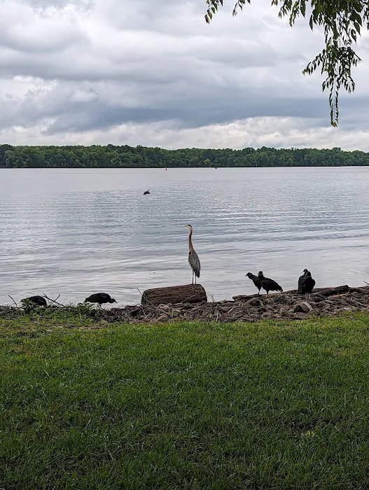 Cages Bend Campground Picture 3