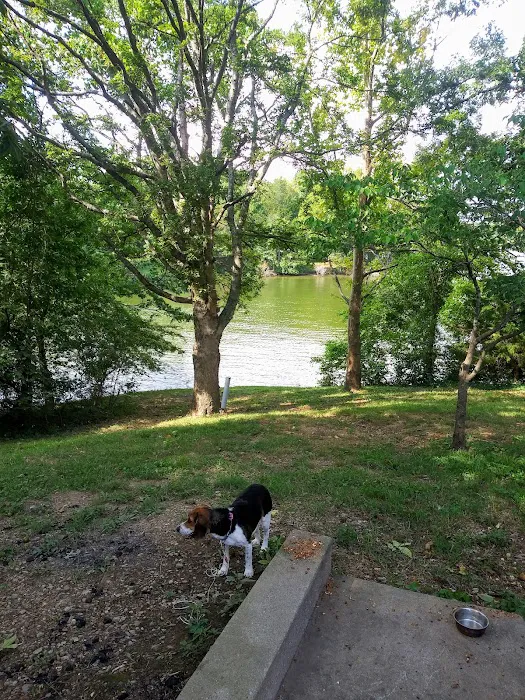 Cages Bend Campground Picture 9