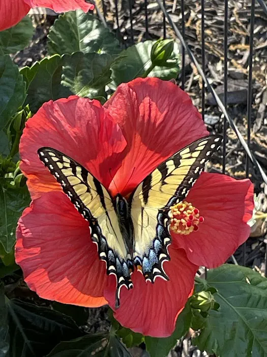 Kenny's Campsites Picture 5