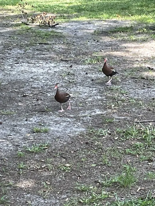 Kenny's Campsites Picture 4