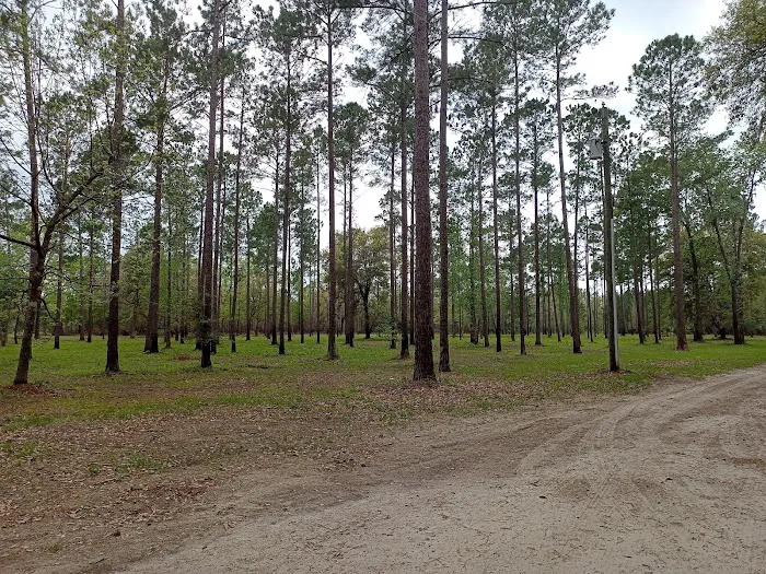 Kenny's Campsites Picture 7