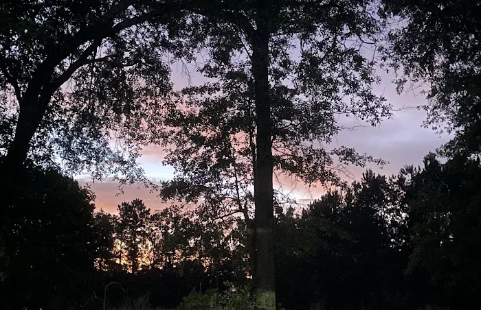 Kenny's Campsites Picture 3