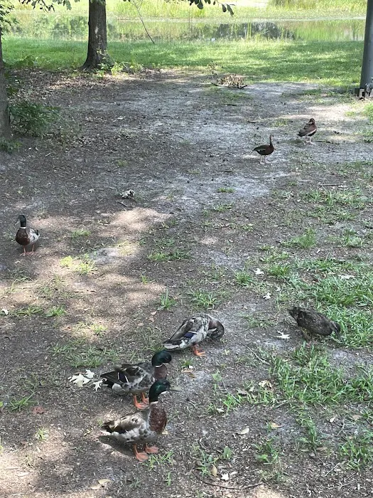 Kenny's Campsites Picture 8