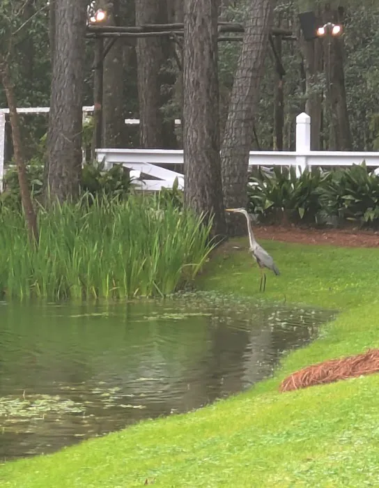 Red Gate Farms Picture 1