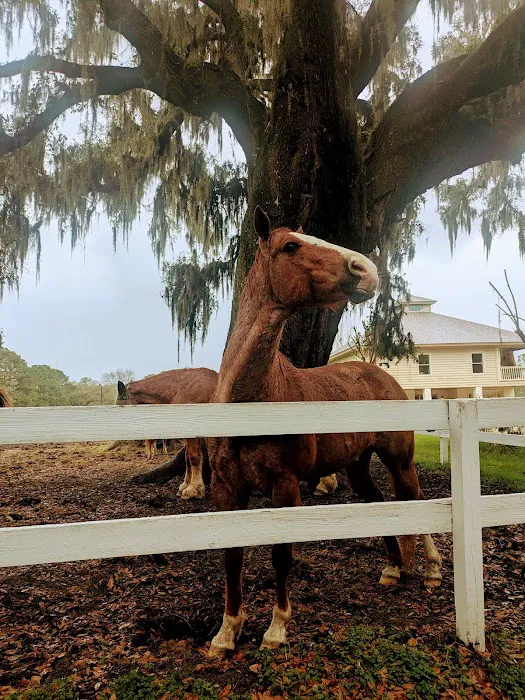 Red Gate Farms Picture 2