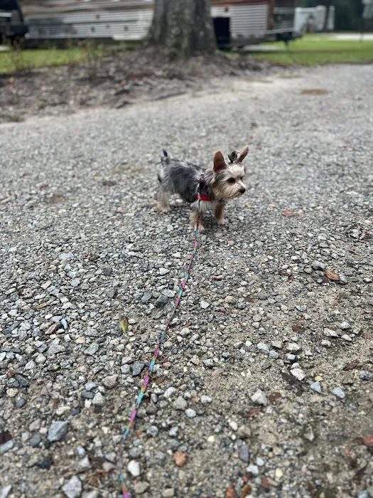 Lotts Island RV Campground. Picture 7