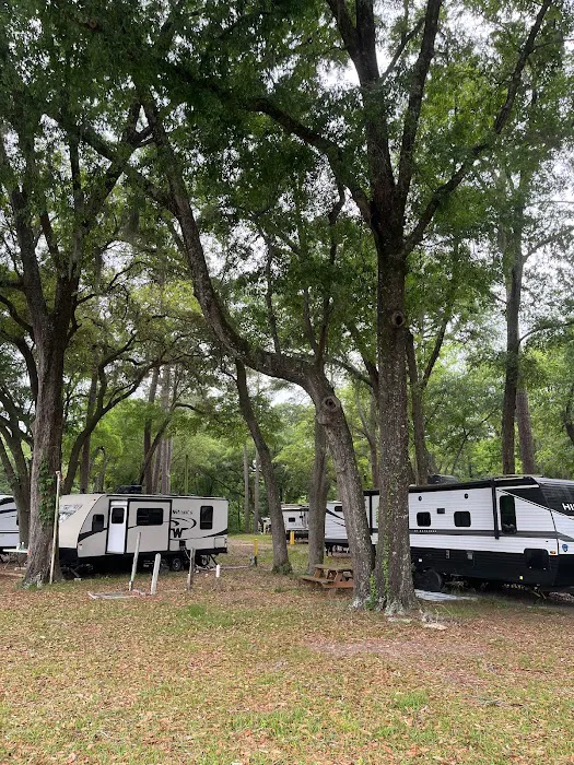 Spacious Skies Campgrounds - Savannah Oaks Picture 8