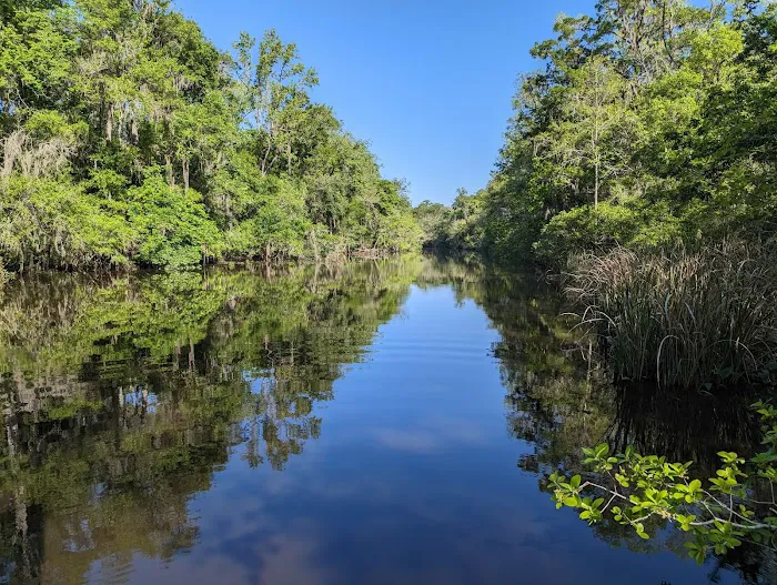 Spacious Skies Campgrounds - Savannah Oaks Picture 7