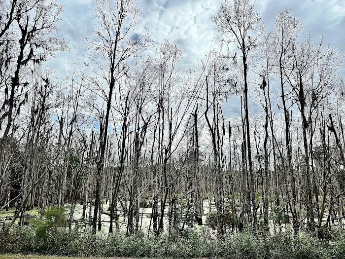 Creek fire Picture 1