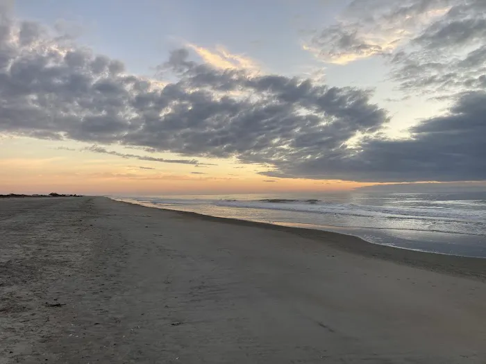 Huntington Beach State Park Campground Picture 3