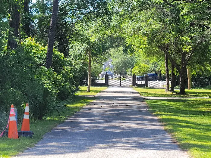 Huntington Beach State Park Campground Picture 8