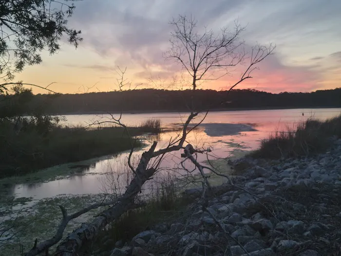 Huntington Beach State Park Campground Picture 6