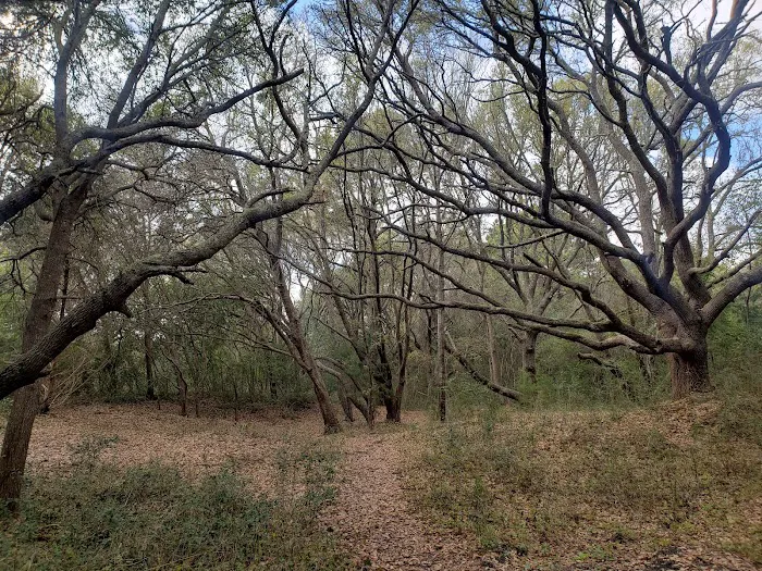 Huntington Beach State Park Campground Picture 9