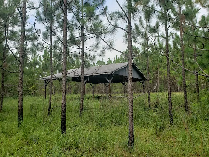 Rum Creek Camping Picture 10