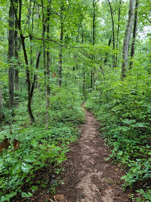 High Falls State Park River Campground Picture 2
