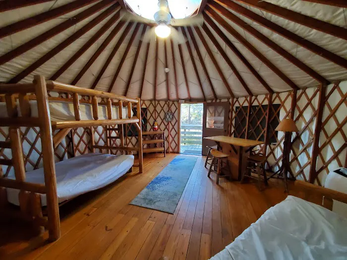 High Falls State Park River Campground Picture 1