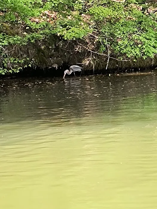 Arrowhead Campground Picture 5