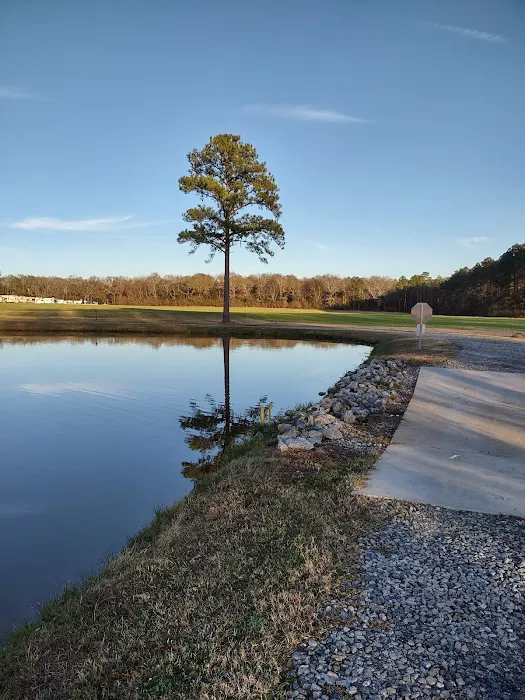 the Shrine Park Picture 5