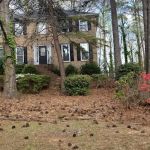 Jardinería Landscaping