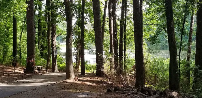 Dobbins ARB Rec Area & FamCamp Picture 4