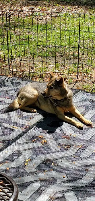 Dobbins ARB Rec Area & FamCamp Picture 10