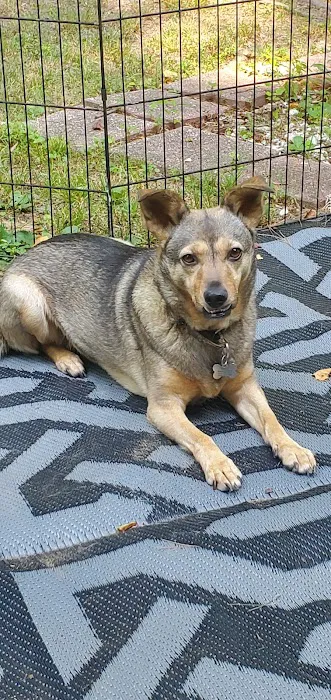 Dobbins ARB Rec Area & FamCamp Picture 9