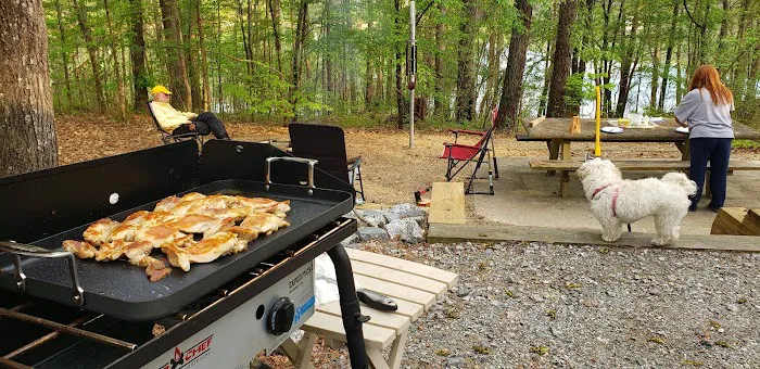 Payne Campground Picture 6