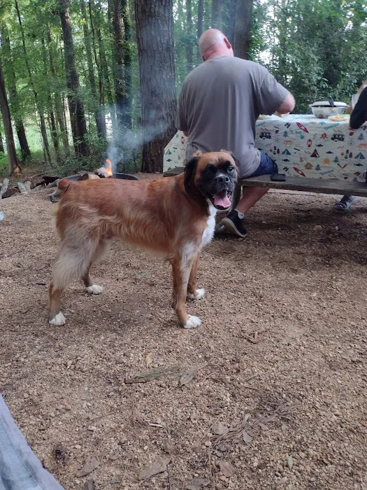 Victoria Campground at Lake Allatoona Picture 2