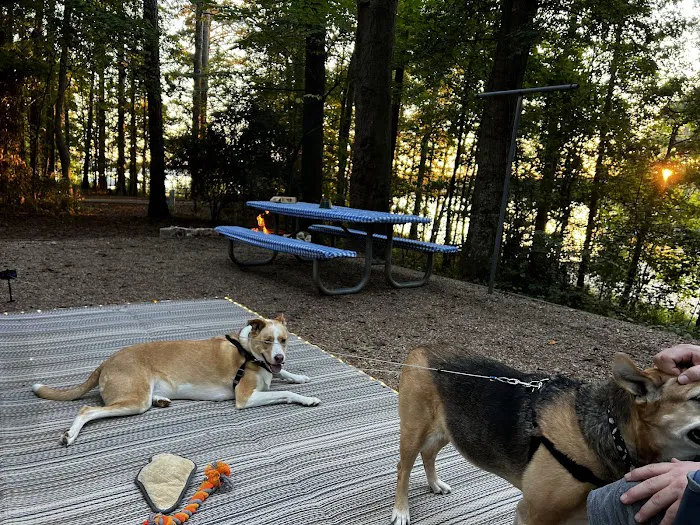 Victoria Campground at Lake Allatoona Picture 10