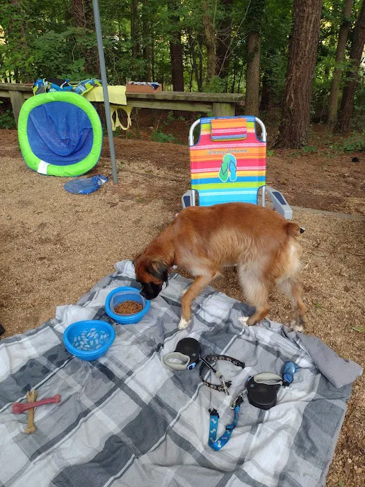 Victoria Campground at Lake Allatoona Picture 3