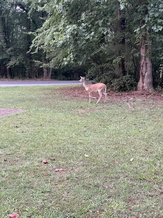 Victoria Campground Picture 10