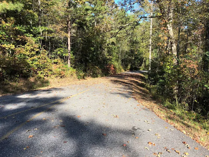 Sweetwater Campground - Allatoona Lake Picture 9