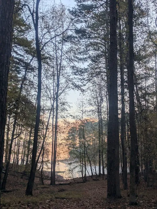 Timberline Glamping Lake Allatoona Picture 6