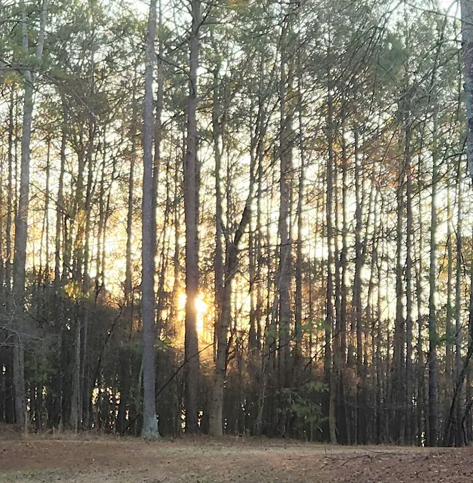 Playground / Beach - swim area Picture 10