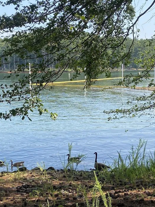 McKinney Campground Picture 7