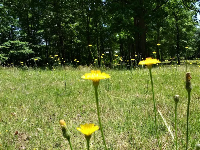 Atlanta West Campgrounds Picture 7