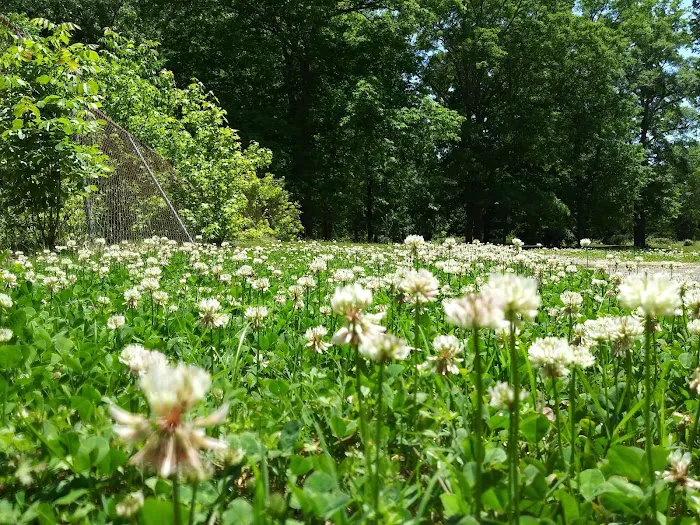 Atlanta West Campgrounds Picture 5