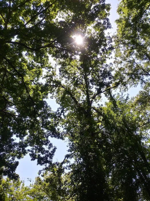 Atlanta West Campgrounds Picture 4