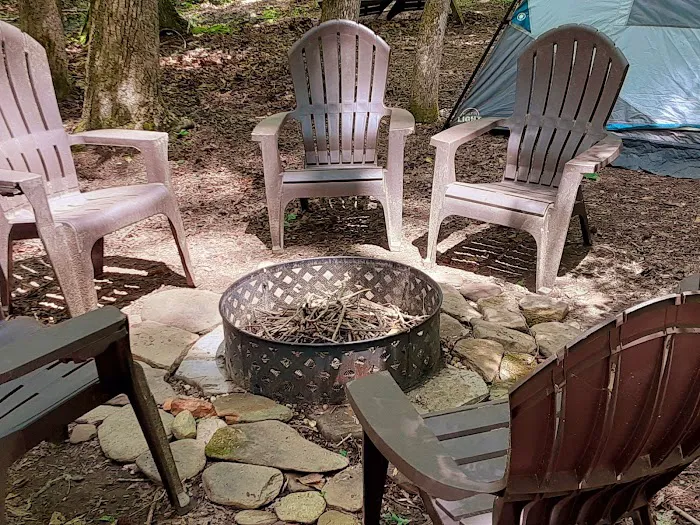 Swing N Creek Picture 2