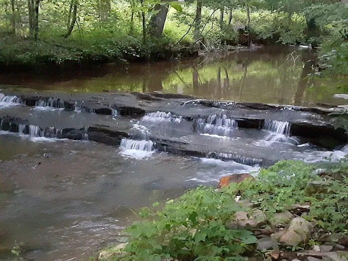 Swing N Creek Picture 1