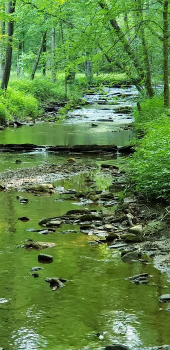 Swing N Creek Picture 5