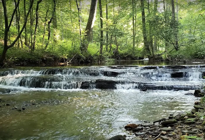 Swing N Creek Picture 6