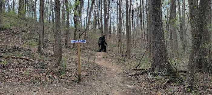 Diamond Lure Campground & RV Resort Picture 5