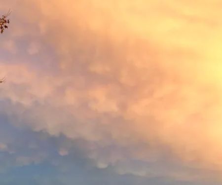 Diamond Lure Campground & RV Resort