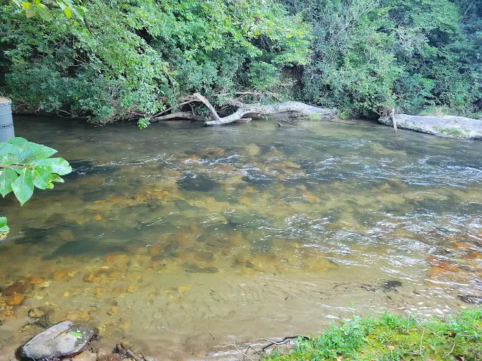 Noontootla Creek Cottage Picture 1