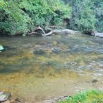 Noontootla Creek Cottage