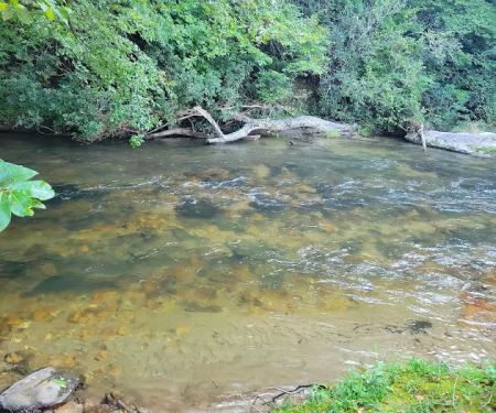 Noontootla Creek Cottage